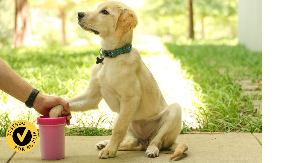 Limpiadores de patas para perros: probamos tres tipos y elegimos el mejor 