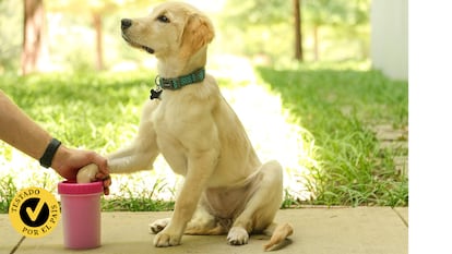 Si tu perro regresa de un paseo demasiado sucio, estos accesorios te resultarán muy prácticos.