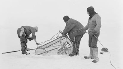Membres de l&#039;expedici&oacute; al Pol Sur (1910-13) retratats per Levick.
