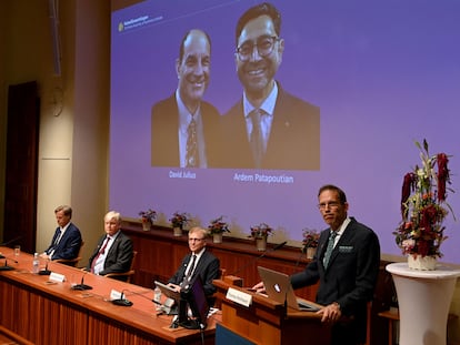 Thomas Perlmann, secretário dos prêmios Nobel (no púlpito), anuncia os premiados em Medicina. Na mesa: David Julius (à esquerda) e Ardem Patapoutian.