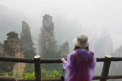 Dada la alta humedad de la zona, la vegetación del parque es densa, la bruma abraza las delgadas columnas de piedra y los turistas se protegen con chubasqueros y paraguas.