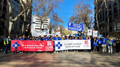 La cabecera de la manifestación de veterinarios de pequeños animales en Barcelona.