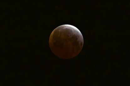 En el oeste de EE UU y Canadá pudieron disfrutar del eclipse total de luna. Antes del amanecer la Luna estuvo totalmente oscurecida por la sombra de la Tierra. Imagen tomada en el distrito de Echo Park en Los Ángeles, EE UU.