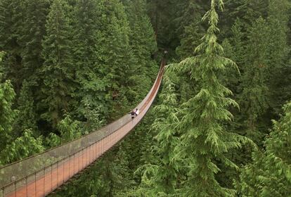 <b>Naturaleza al alcance de la mano.</b> Vancouver se está convirtiendo en una de las ciudades más apreciadas por los viajeros. Los paisajes de montaña que rodean la ciudad son realmente espectaculares, igual que densos parques surcados por senderos y playas de arena. Esta ciudad canadiense del Pacífico, en la península de Burrad, tiene un aire de gran ciudad provinciana. Las torres de oficinas y bloques de pisos compiten por conseguir algunas de las vistas más caras del mundo, lo que le vale el apodo de la ciudad de cristal. Sus habitantes la eligen porque les encanta correr, pedalear, nadar, esquiar y jugar. Aquí es imposible aburrirse y si la ciudad no es suficiente, lo mejor es escapar hacia las montañas. Los montes Cypress, Seymour y Grouse y las populares estaciones de esquí de Whistler y Blackcomb son fácilmente accesibles.