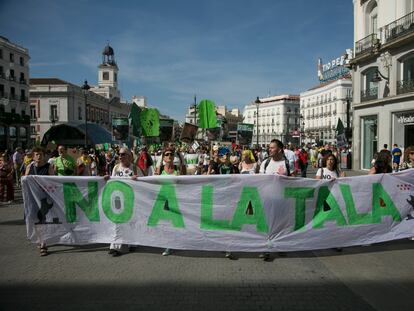 Miles de personas participaron en la protesta "No a la tala" el 8 de octubre en Madrid.