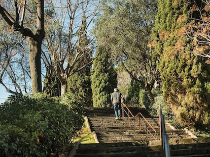 Una imatge del parc del Turó de la Peira.