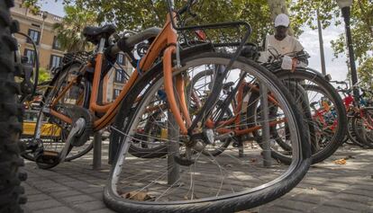 Bicicletas han aparecido amarradas y con las ruedas destrozadas