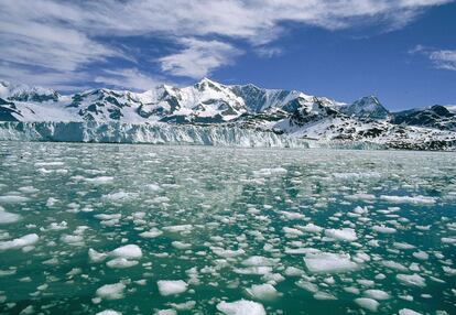 El glaciar de Nordenskjöld con el monte Paget al fondo.