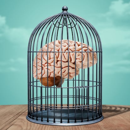 Human brain trapped in a birdcage.Mental health concept