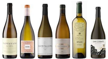 Vinos de uva verdejo