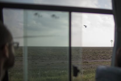 Un ave vista desde una ventanilla sobrevuela el entorno natural del Parque Nacional de Doñana, con una extensión de 54.252 hectáreas que acumula títulos como Patrimonio Mundial de la Unesco o Reserva de la Biosfera.