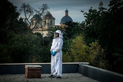 María José Martínez en la azotea Museo de Ciencias Naturales de Valencia junto a una de las colmenas urbanas de la ciudad.