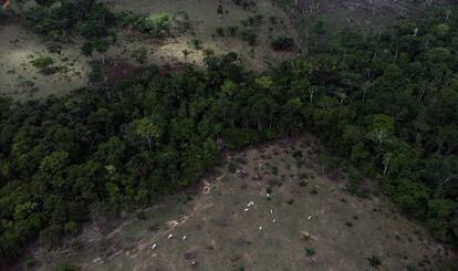 Desmatamento em torno de área indígena na Amazônia.