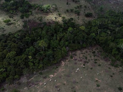 Desmatamento em torno de área indígena na Amazônia.