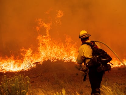 Un bombero combate las llamas del incendio Caldor, California