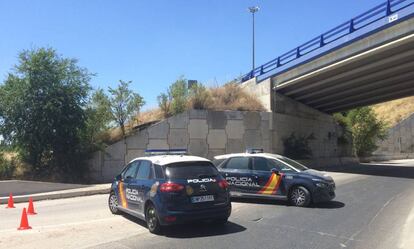 Dos coches de la Polic&iacute;a Nacional en las cercan&iacute;as de donde ha sido hallado el cuerpo.