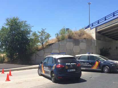Dos coches de la Policía Nacional en las cercanías de donde ha sido hallado el cuerpo.