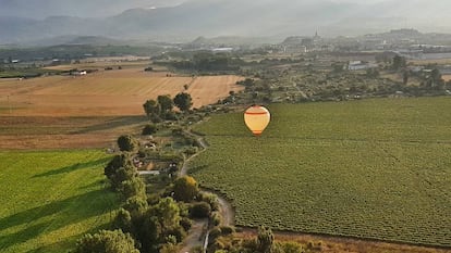 Un globo aerostático sobrevolando viñedos, con Haro al fondo.