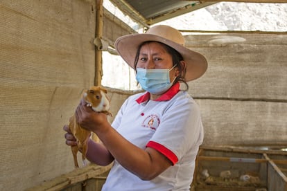 Gisela Ramírez preside la Asociación Peruanitas Empeñosas, con 14 socias que crían cuyes y venden su carne desde la sierra limeña.