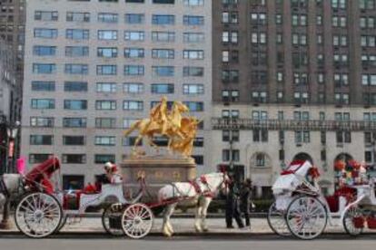 Varios caballos con sus carruajes esperan este 17 de enero de 2014 en la Quinta Avenida de Nueva York (EE.UU.).