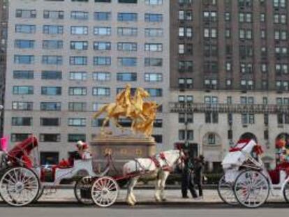 Varios caballos con sus carruajes esperan este 17 de enero de 2014 en la Quinta Avenida de Nueva York (EE.UU.).