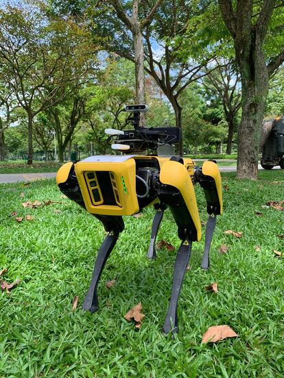 'Spot', el perro robot de Singapur