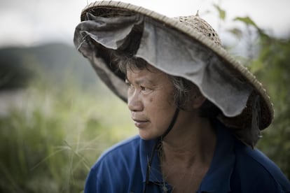 Aldea de Kam Tin. Chuck decidió convertirse en agricultora tras participar en las protestas contra el tren de alta velocidad en Choi Yuen, su pueblo natal, que hoy ya no existe.