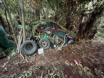 Campamento en Te Anga Road, Waitomo (Nueva Zelanda), donde Tom Phillips vivía con sus tres hijos.