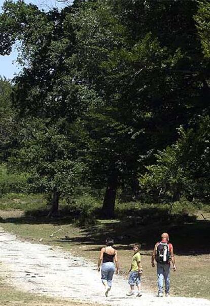 Una pareja y su hijo pasean por el parque natural del Gorbea.