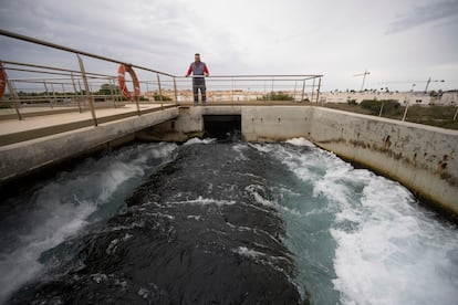 Un operario observaba en mayo de 2023 el flujo de agua de mar hacia el interior de la desalinizadora de Torrevieja.