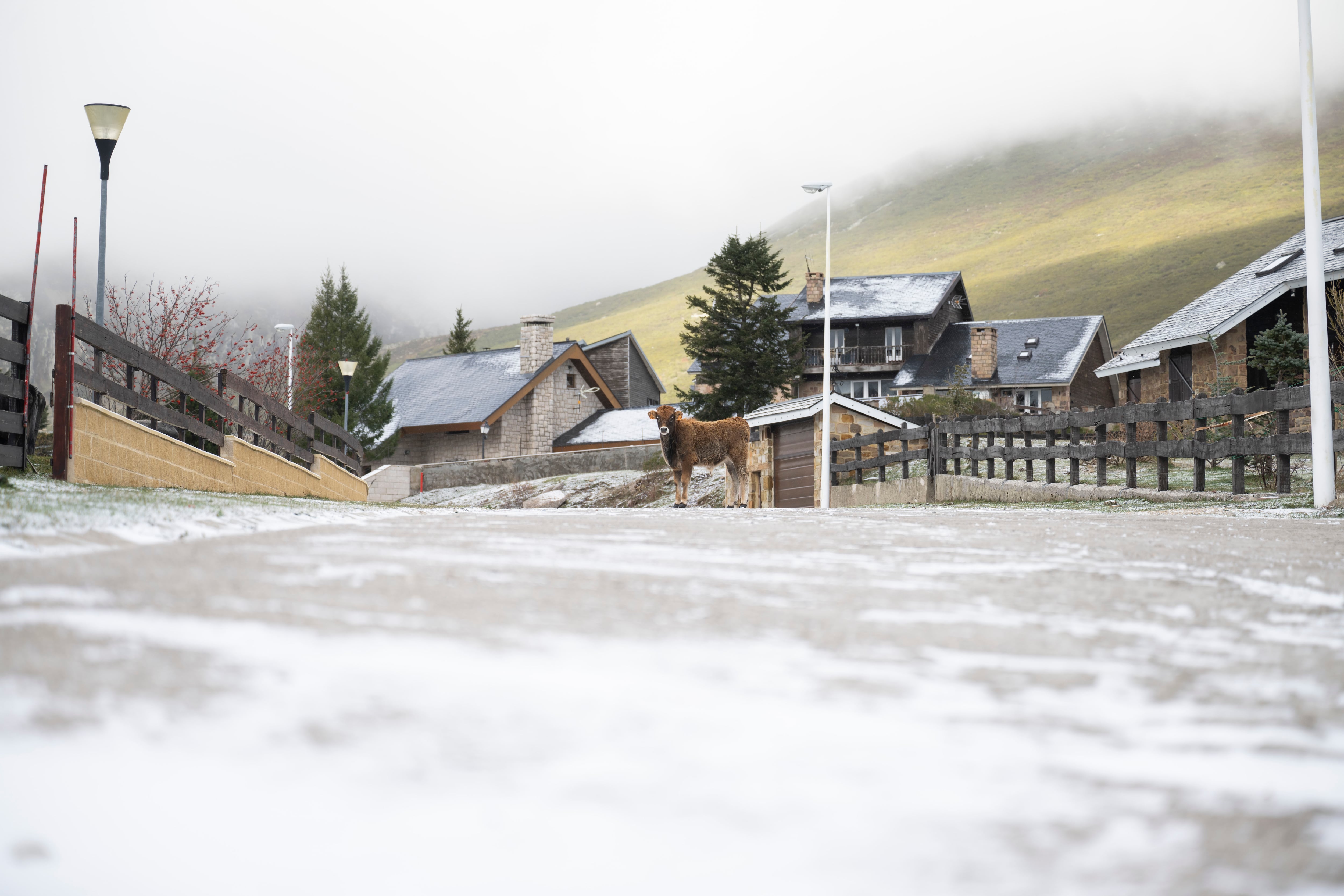 Otto comunità del nord peninsulare in allerta per nevicate: Navarra gialla, Asturi, Cantabria e Castiglia e León arancione