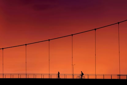 Alrededores de Ámsterdam en bici