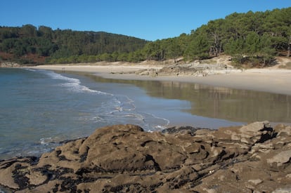 Playa de Barra (Pontevedra). Perteneciente al municipio de Cangas de Morrazo y asomada a la ría de Vigo, la playa de Barra es un conocido espacio naturista lleno de encantos: soli­taria, resguardada de los vien­tos, natural, de arenas suaves y aguas gélidas. Hay quien define la zona como “el Caribe gallego”: al fondo se levantan las islas Cíes, com­pletando el hermoso escenario de esta larga, fina y elegante playa de dunas. Tiene algo menos de un kilómetro de largo y hay bastantes senderos que conducen a ella. Fue uno de los primeros arenales de Galicia en el que se permitió el nudismo. Su entorno de pinares garantiza una intimidad difícil en playas más urbanas, añadiendo un atractivo más a un día de playa.