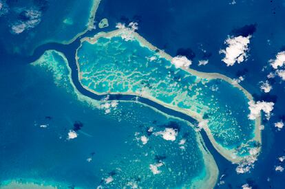 Imagen realizada por un astronauta de la Estación Espacial Internacional donde se puede apreciar la Gran Barrera de Coral Australiana.