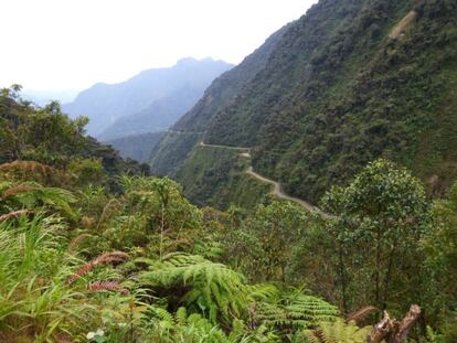 Vista del zigzagueante recorrido de la llamada carretea de la muerte, tallada en plena montaña andina.