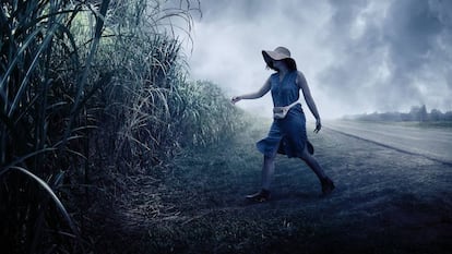 Fotograma d''In the tall grass', la pel·lícula inaugural de l'edició d'aquest any a Sitges.