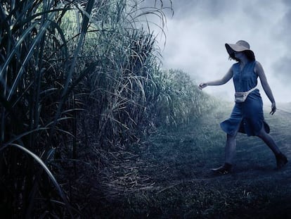 Fotograma de 'In The Tall Grass', la película inaugural de la edición de este año en Sitges.