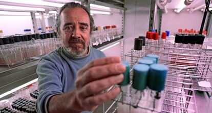 El profesor y premio Rey Jaime I, Luis Navarro Lucas, en uno de los laboratorios del Instituto Valenciano de Investigaciones Agrarias.