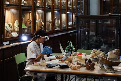 La restauradora Marta Herranz en el museo del IES San Isidro.