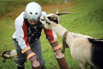 El diseñador Thomas Thwaites viviendo entre cabras.
