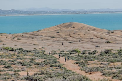 En unos pocos kilómetros, la ruta pasaba de la frondosa selva a terrenos arenosos, salpicados de cactus, ya cerca del mar Caribe.
