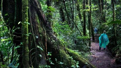 Dos excursionistas pasean por el Bosque Eterno de los Niños de Costa Rica.