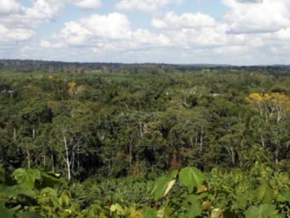 La minería, legal o no, está acabando con la biodiversidad de la mayor selva del mundo y mermando la salud y el hábitat de miles de indígenas