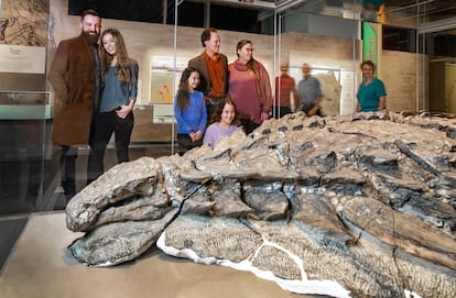 The ‘Borealopelta markmitchelli’ mummy is on display at the Royal Tyrrell Museum, in Canada.