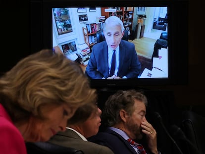 Senadores escuchan al doctor Anthony Fauci, que interviene ante un comité del Senado por videconferencia.