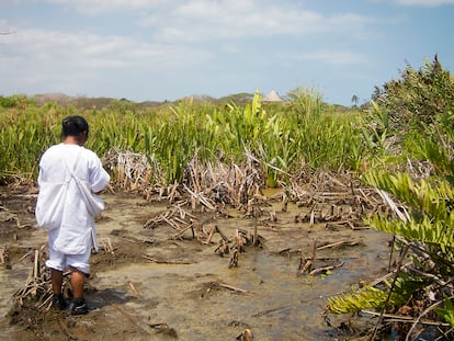 Sierra Nevada de Santa Marta, Colombia. La gestión de los kogi ha convertido un vertedero pantanoso en un lago de agua dulce.