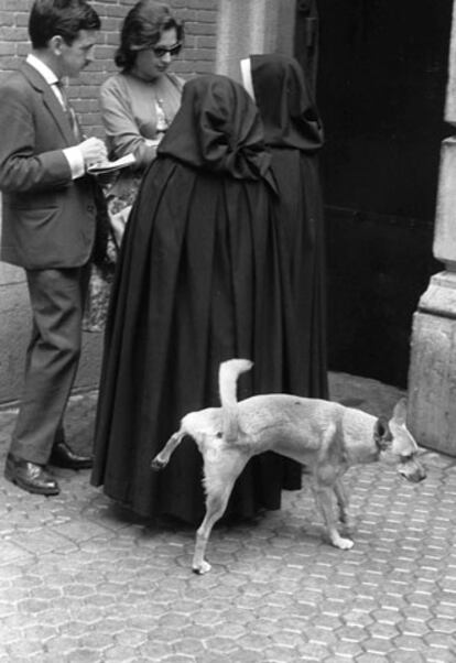 Madrid, 17 de septiembre de 1960. Unas monjas y un perro.