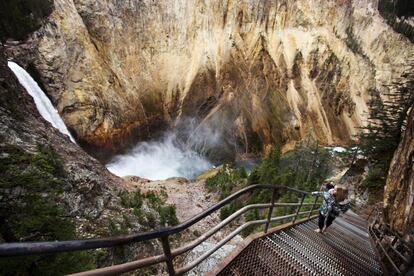 El National Park Service, el organismo federal que gestiona los 409 parques nacionales, monumentos naturales y lugares de interés histórico de Estados Unidos, es un modélico ejemplo de gestión de espacios protegidos como Yellowstone o Yosemite. En su constitución tuvo un importante papel la campaña del naturalista nacido en Escocia John Muir (1838-1914), que ya entonces vaticinó las posibles consecuencias de no proteger estos paisajes: “La importancia de la conservación de nuestros bosques se incrementa por su relación con el clima, el suelo y los arroyos”.