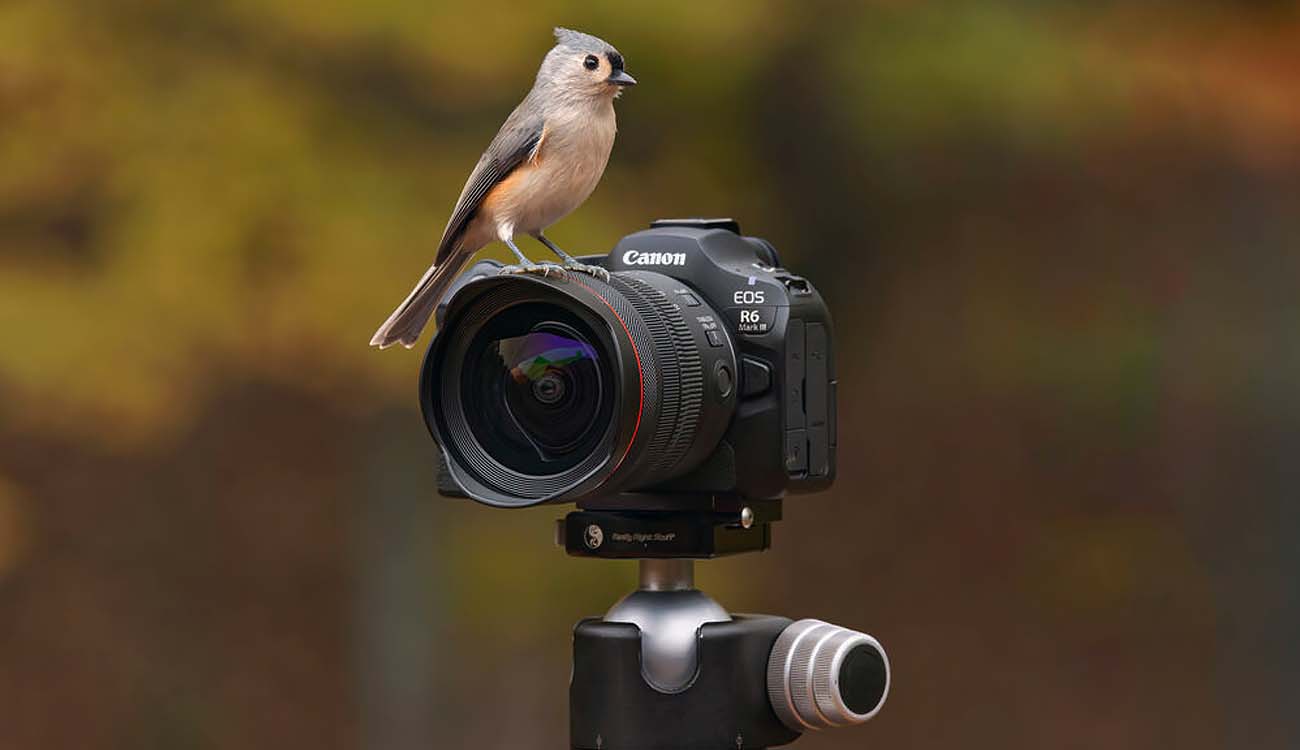 Cámara Canon EOS R6 III
