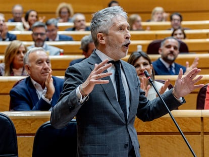El ministro del Interior, Fernando Grande-Marlaska, este martes en el Senado.
